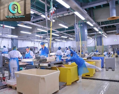 استاندارد gmp